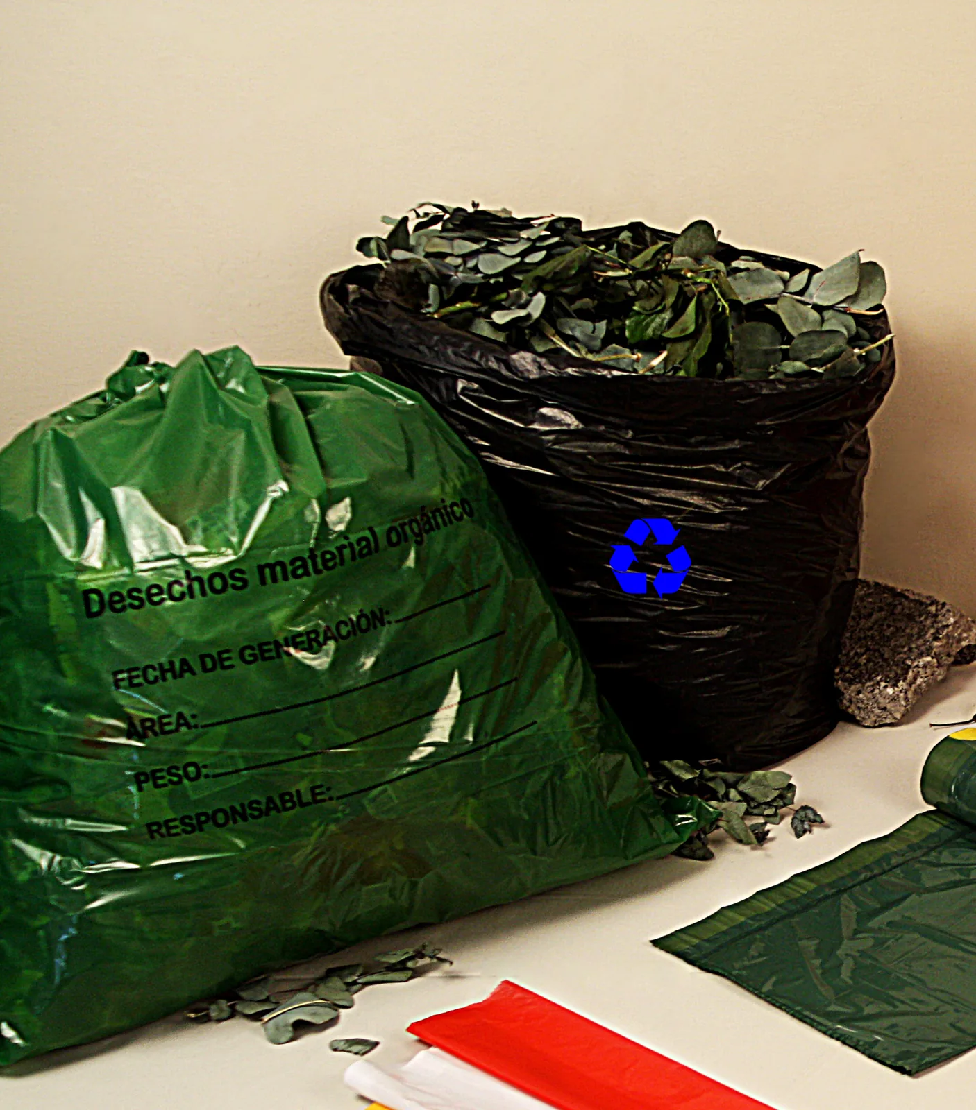 Productos biodegradables para negocios en Ecuador - productos reales de Limpa